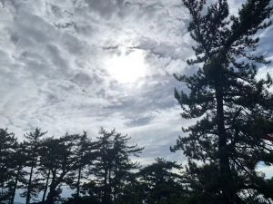 微信图片_20250812110530_24