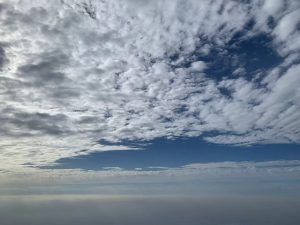 微信图片_20250812110530_25